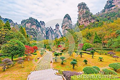 Zhangjiajie Forest Park. Stock Photo
