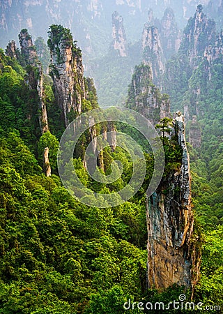 Zhangjiajie National forest park at sunset, Hunan, China Stock Photo