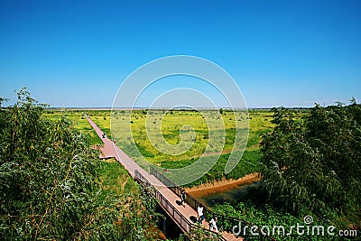 Zhengzhou the Yellow River Wetland Park Editorial Stock Photo