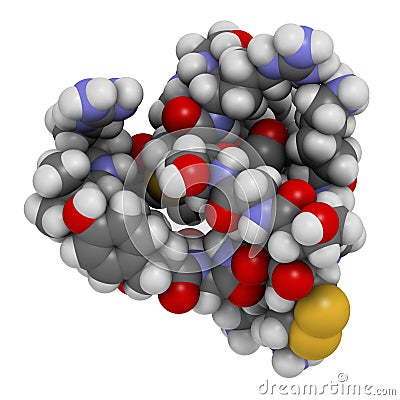 Ziconotide pain drug molecule. Synthetic form of omega conotoxin from cone snail Stock Photo