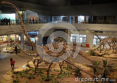 The Zigong Dinosaur Museum in Sichuan, China Editorial Stock Photo