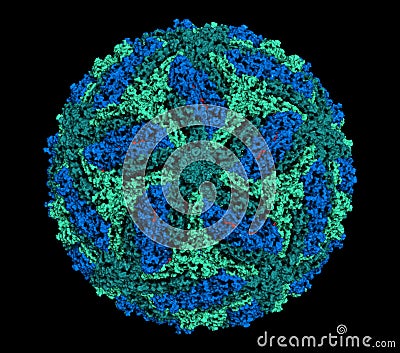 Zika virus. Atomic level structure, determined by cryo-EM. Causes Zika fever. Zika fever in pregnant women is associated with. Stock Photo