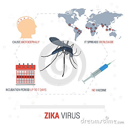 Zika virus infographic - facts Vector Illustration
