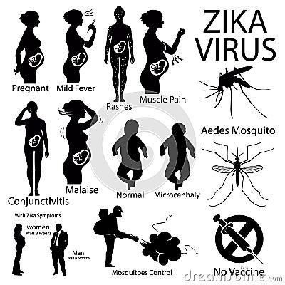 Zika virus infographic with pregnant woman. Vector Illustration