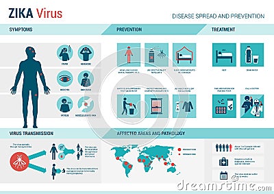 Zika virus infographic Vector Illustration