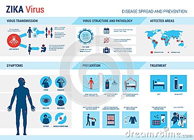 Zika virus infographic Vector Illustration