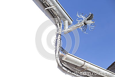 Zinc gutter drainage system dragon-shaped over blue sky Stock Photo