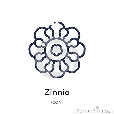 Zinnia icon from nature outline collection. Thin line zinnia icon isolated on white background Vector Illustration