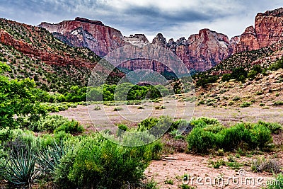 Zion National Park, Utah. Stock Photo