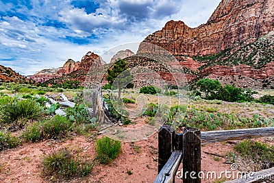 Zion National Park, Utah. Stock Photo