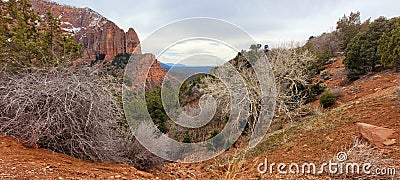 Zion National Park, Utah Stock Photo