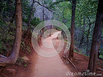 Zion Pathway with Red Earth Stock Photo