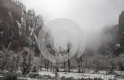 Zion Winter Snow Stock Photo