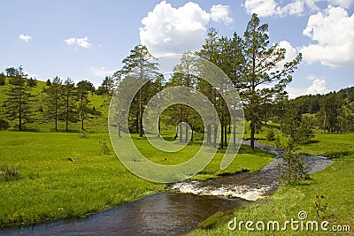 Zlatibor mountain Stock Photo