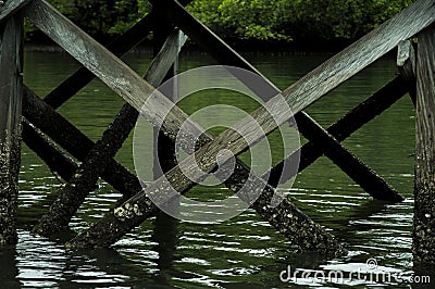 Pulau Rinca - Parc National Komodo - peer Stock Photo