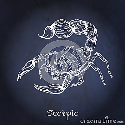 Zodiac sign. Astrological horoscope collection. Vector illustration Vector Illustration