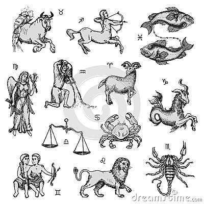 Zodiac signs set, vector drawing. Horoscope design Vector Illustration