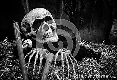 Zombie coming out of the grave Stock Photo