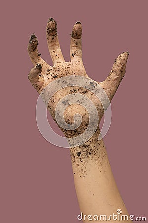 Zombie Halloween hand isolate on pink bacground Stock Photo