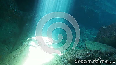 Zonstralen stock videobeelden Zonstralen stock videobeelden
