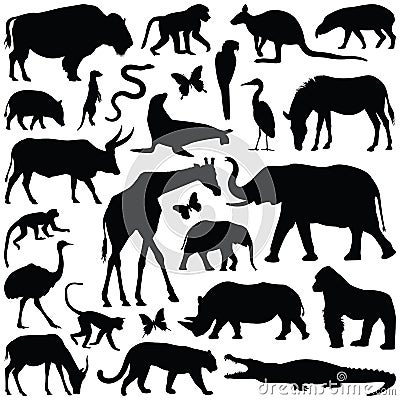 Zoo animals vector illustration Vector Illustration