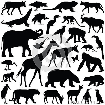 Zoo animals vector illustration Vector Illustration