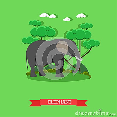 Zoo concept banner. Wildlife elephant animal. Vector illustration in flat style design Vector Illustration