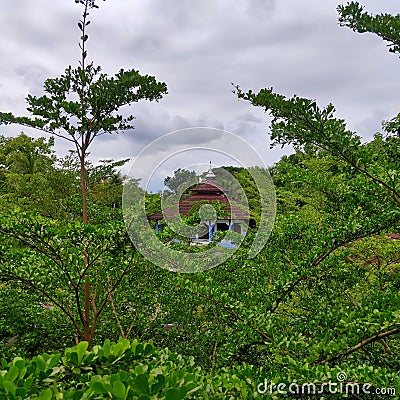 Zoo plant green mosque cloud Stock Photo