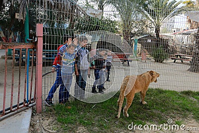 The zoo in Rafah gives visitors a chance to play with animals in the Gaza Strip Editorial Stock Photo