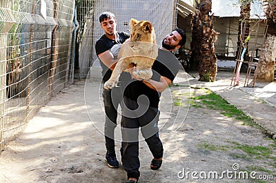 The zoo in Rafah gives visitors a chance to play with animals in the Gaza Strip Editorial Stock Photo