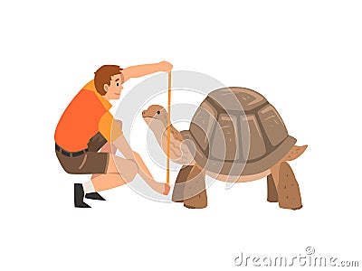 Zoo Worker or Veterinarian Examining and Measuring Turtle, Professional Zookeeper Character Caring of Animal Vector Vector Illustration