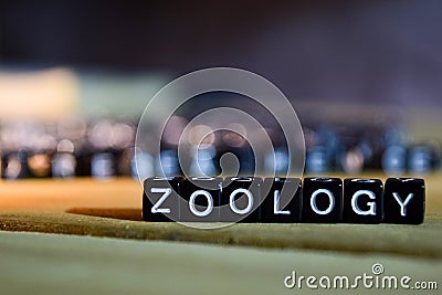 ZOOLOGY concept wooden blocks on the table. Stock Photo