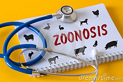 Zoonosis, Concept Zoonoses and infections transmissible from vertebrate animals to humans, Epidemic threat, Medical stethoscope, Stock Photo