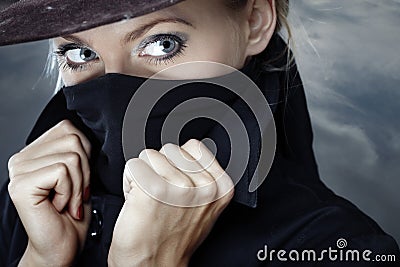 Zorro Stock Photo