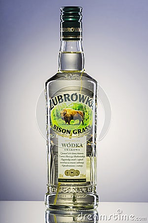 Zubrowka grass flavored vodka on gradient background. Editorial Stock Photo