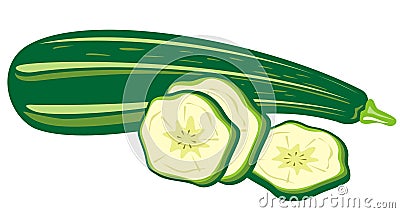 Zucchini Vector Illustration