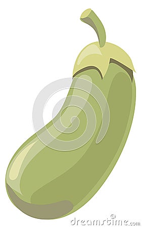 Zucchini cartoon icon. Green raw healthy vegetable Vector Illustration