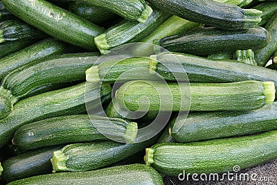 Zucchini Stock Photo