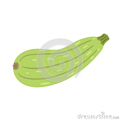 Zucchini icon in flat style Vector Illustration