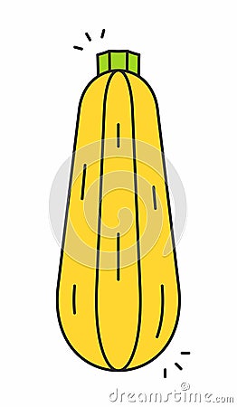 Zucchini icon Vector Illustration