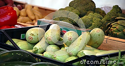 Zucchini and other vegetables Editorial Stock Photo