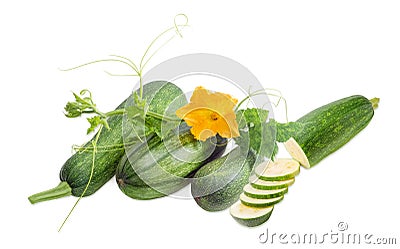 Zucchini and stalk with leaves, tendrils and flower Stock Photo