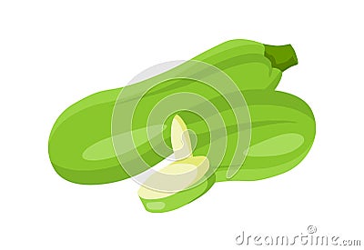 Zucchini vector. fresh zucchini illustration Vector Illustration