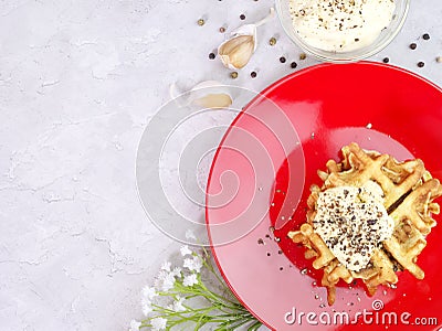 Zucchini waffles on a red plate with sauce and spices. Top view. Food healthy eating concept Stock Photo