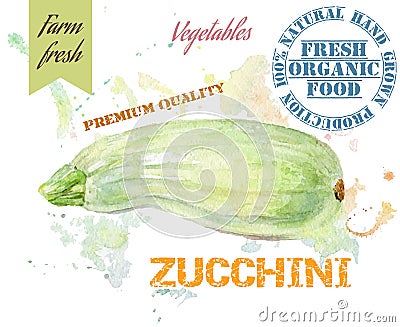 Zucchini watercolor banner Vector Illustration