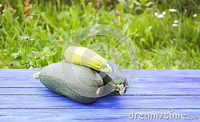 Zucchini on wooden boards outdoors Stock Photo