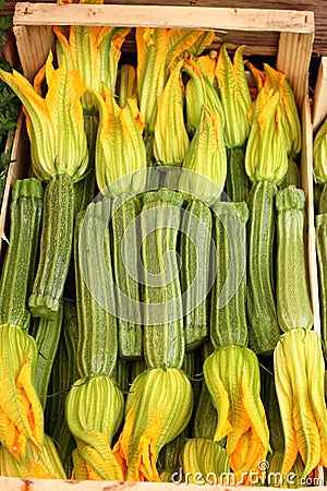 Zucchinis with flowers Stock Photo