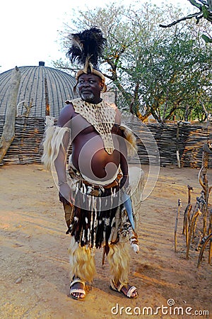 Zulu Chief in Shakaland Zulu Village, South Africa Editorial Stock Photo