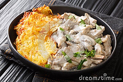 Zurich Style Veal in Cream Sauce Zurcher Geschnetzeltes in the plate. Horizontal Stock Photo