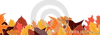 Bright fall autumn leaves harvest border baner. Vector Illustration